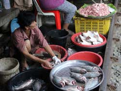 Bangkok railway market