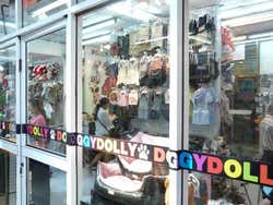 A pet shop in Chatuchak